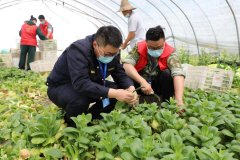 雨燕直播临平崇贤街道：种植大户爱心捐