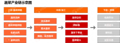 雨燕直播网址【价格前线日蔬菜价格异动提示